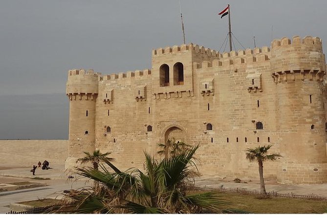 One Day Tour in Alexandria