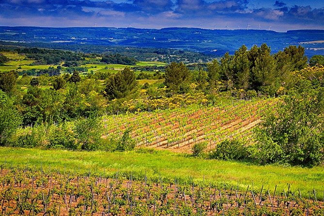 One Night Stay, Wine Tour, Wine and Dine for Two Guests