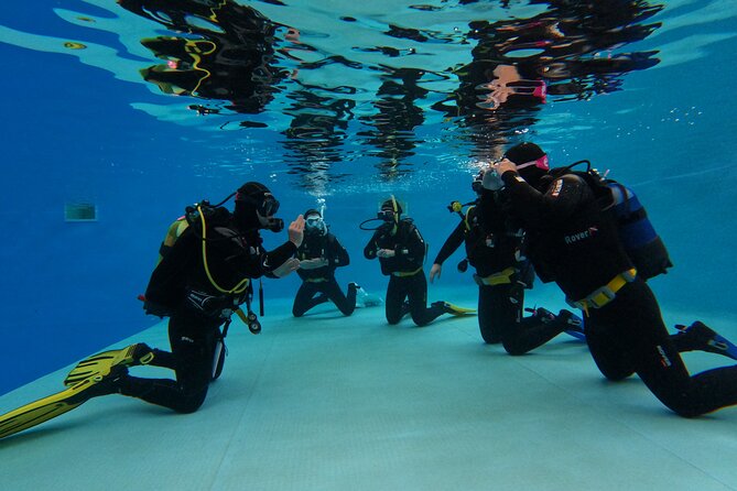 Open Water Diver Course in Arrabida Natural Park (Near Lisbon)