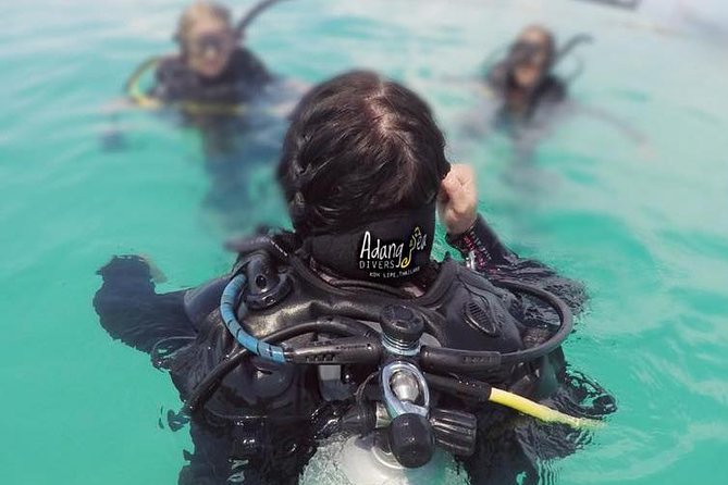 Open Water Diver Course - Training and Experience