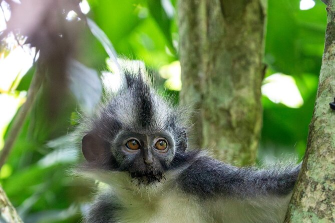 6 Best 3 Day Tours In Medan