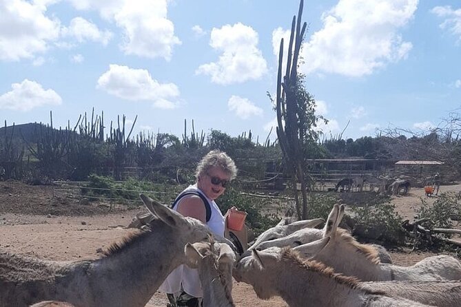 2 Best Historical Tours In Oranjestad