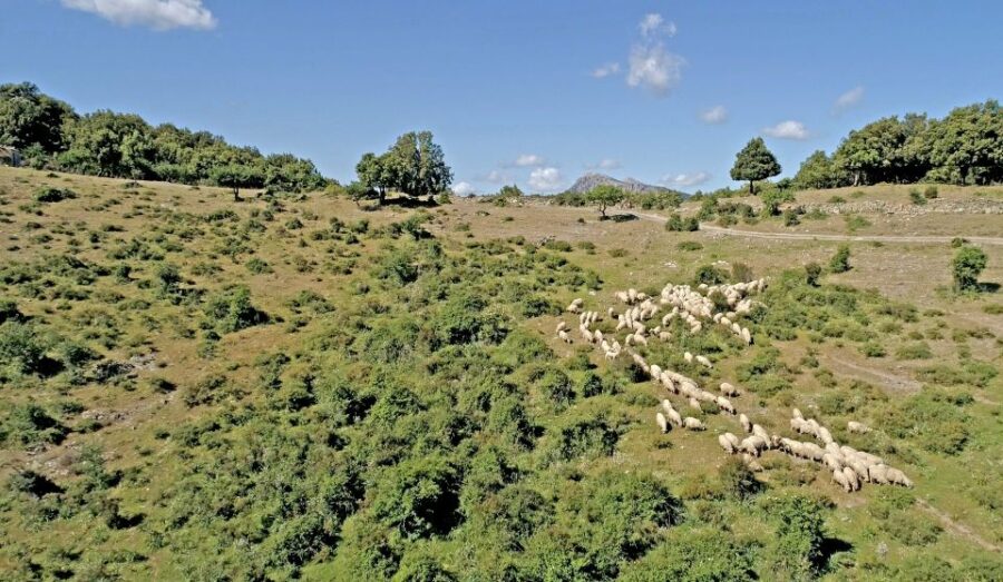 Orgosolo: 4×4 Private Tour in Supramonte W/ Murals Visit