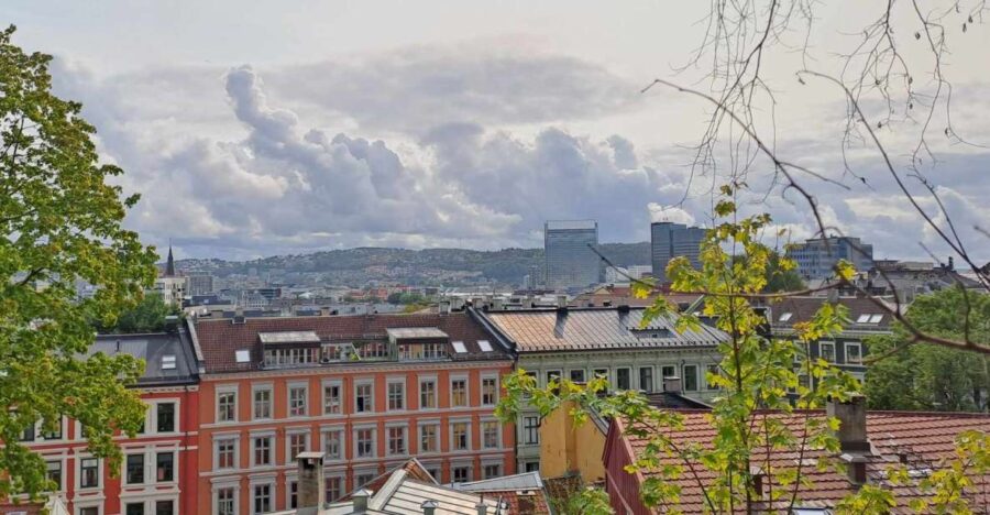 Oslo Private Tour: Hidden Gems City Walk With Local & Dog