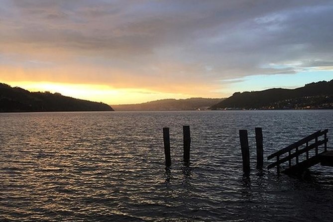 2 Best Self-Guided Tours In Dunedin and The Otago Peninsula