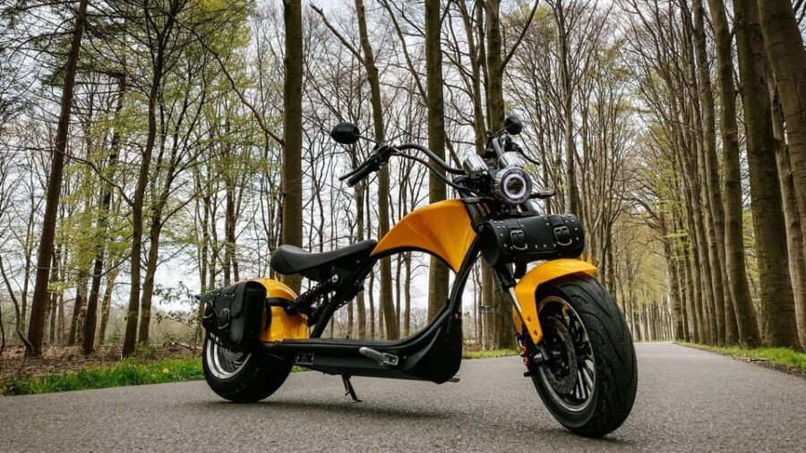 Otterlo: E-Chopper Rental