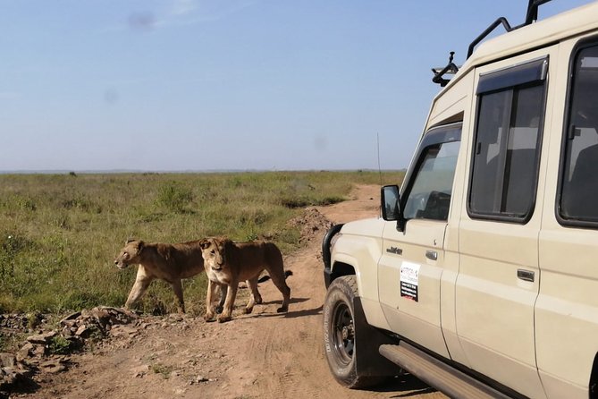 Outdoors And National Park Visits
