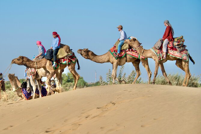 Overnight Camel Safari – Sleeping Under the Stars