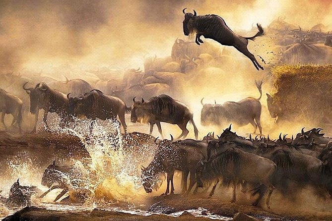 Overnight Private Safari to Masai Mara National Reserve.