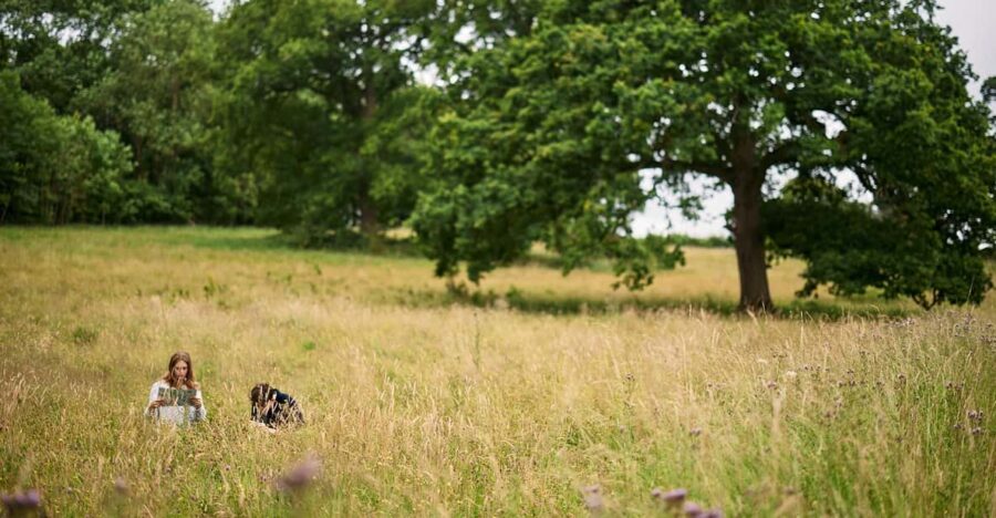Oxford: Harcourt Arboretum Entry Ticket - Ticket Information and Pricing