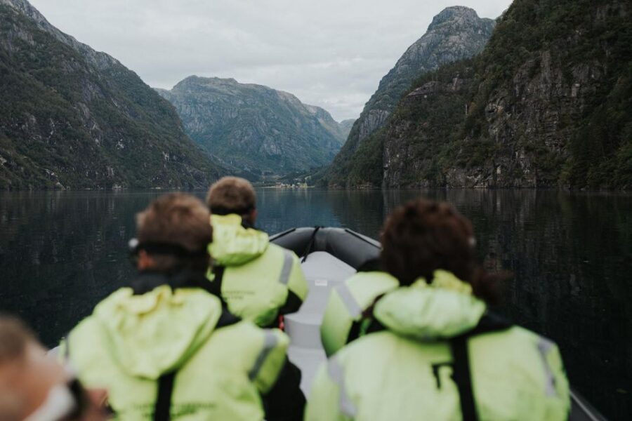 Øystese: Exclusive RIB Hardangerfjord Safari to Fyksesund - Activity Overview