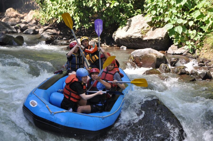 Pa Tong: Rainforest Day Trip With Cave, Rafting, ATV & Lunch - Tour Overview and Pricing