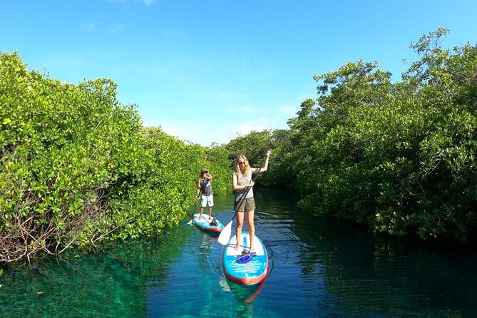 Paddle and Snorkel in Cenote - Riviera Maya - Inclusions