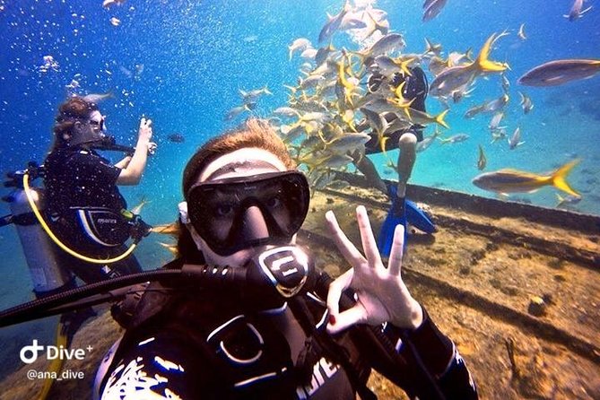 PADI / SSI Open Water Certification