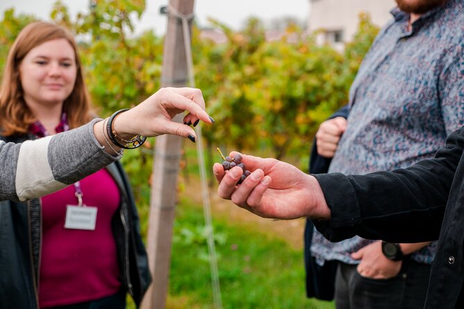 Pagus Wine Tours® - Lake Garda and Amarone - Full Day Wine Tour