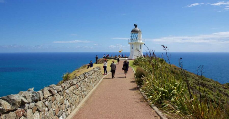 Paihia: Cape Reinga and Ninety Mile Beach Trip With Lunch - Tour Overview and Pricing