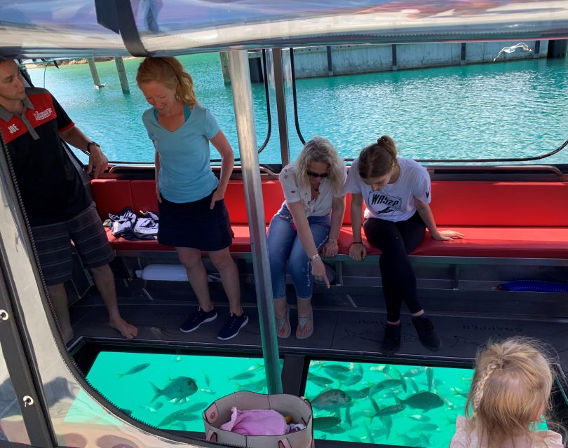 Paihia: Glass Bottom Boat Tour to the Hole in the Rock