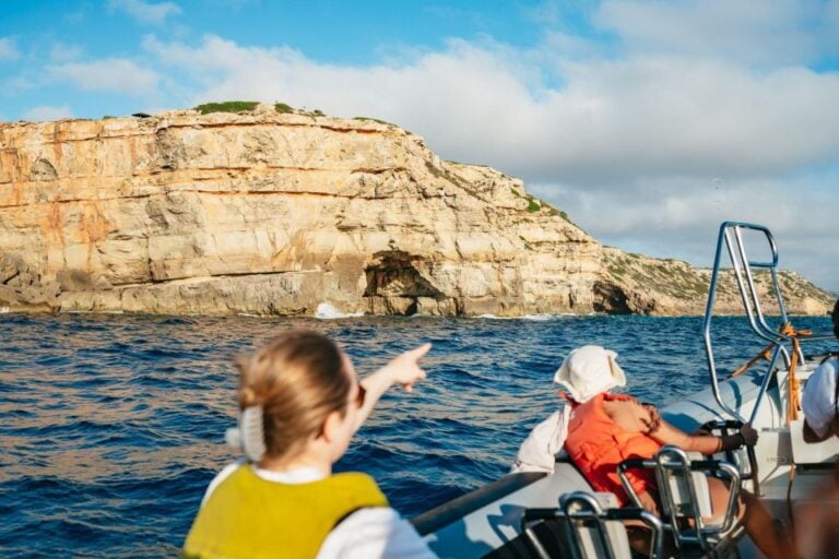 Palma Bay: Speedboat Discovery Tour