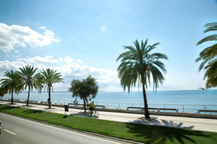 Palma De Mallorca: Full-Day Tour With Departure Options