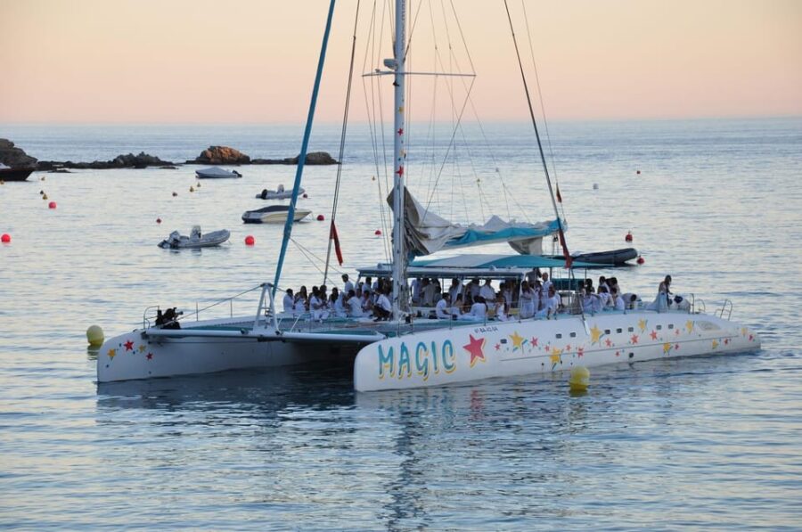 Palma De Mallorca: Sunset Sailing Catamaran Trip With Drink