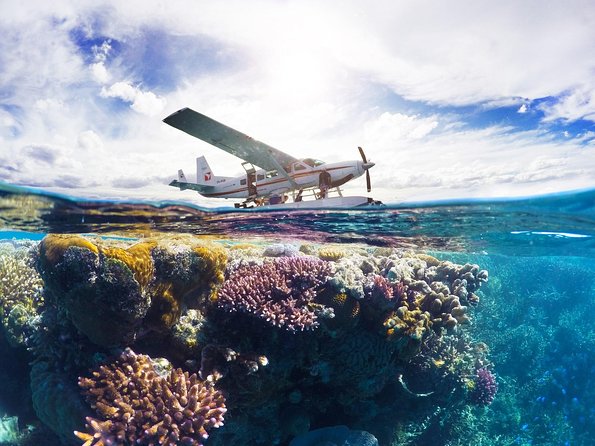 Panorama: the Ultimate Seaplane Tour – Great Barrier Reef & Whitehaven Beach