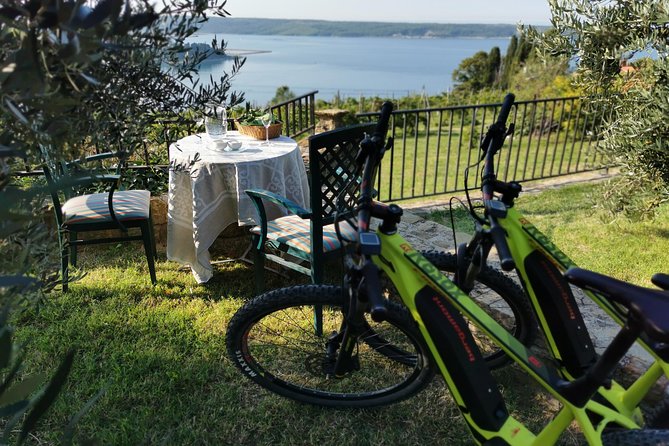 16 Best Tours In Piran