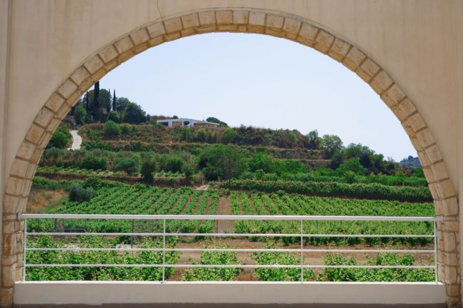 25 Best Cruises And Boat Tours In Paphos