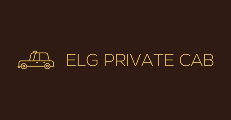 Paris: Private Transfer Between Paris and CDG Airport - Overview of the Service