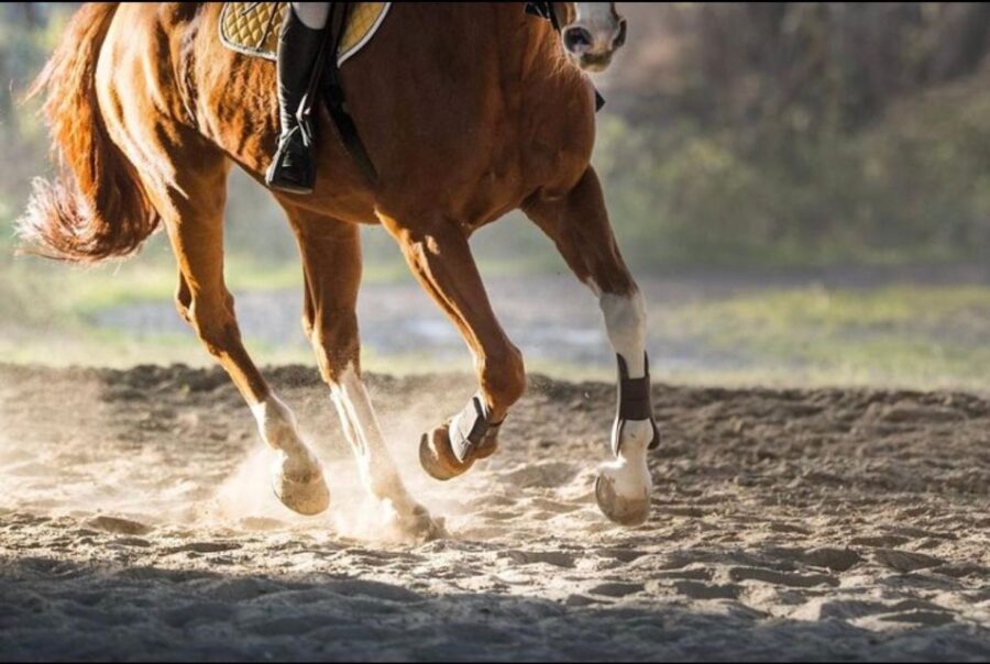 Paros: Island Horseback Riding Adventure
