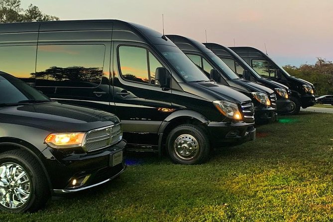 Party Bus Luxury Sprinter Limos - Overview of Party Bus Limos