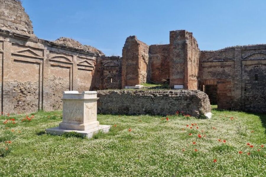 Pasta Experience in Gragnano and Pompeii Private Tour
