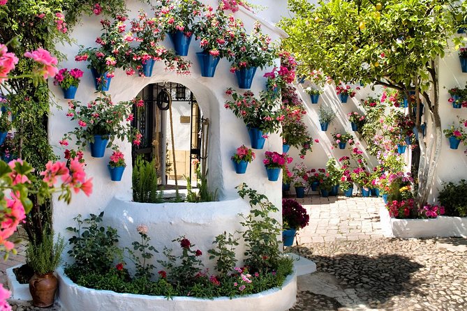 Patios Tour in Cordoba