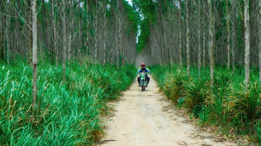 Pattaya: Half-Day Guided Enduro Tour With Meal - Tour Overview and Pricing