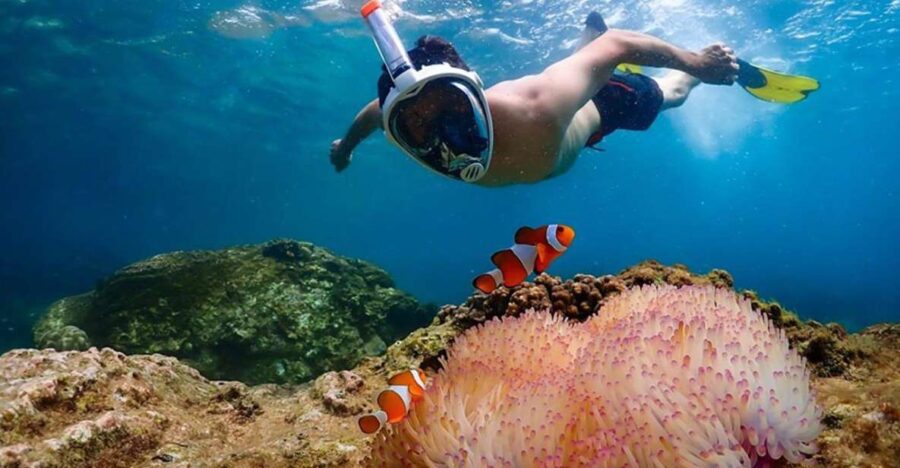 Pattaya: Nemo Island Experience With Drone Photos and Lunch - Overview and Pricing