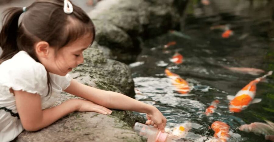 Pattaya: Under Water World