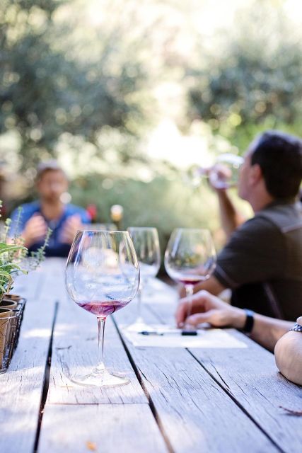 Peloponnese Private Tour & Nemea Wine Tour & Ancient Nemea - Tour Overview