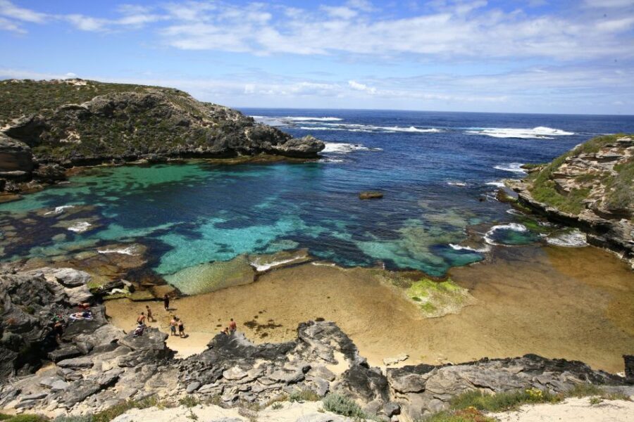 Perth: Rottnest Island Ferry Round-Trip Ticket - Ticket Pricing and Availability
