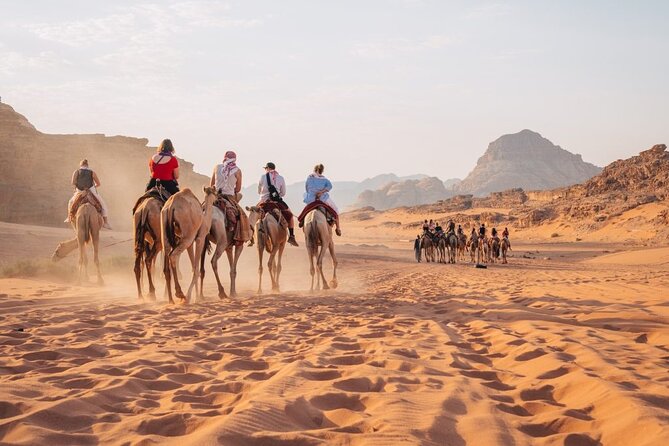 Petra, Wadi Rum and Shobak Castle Day Trip