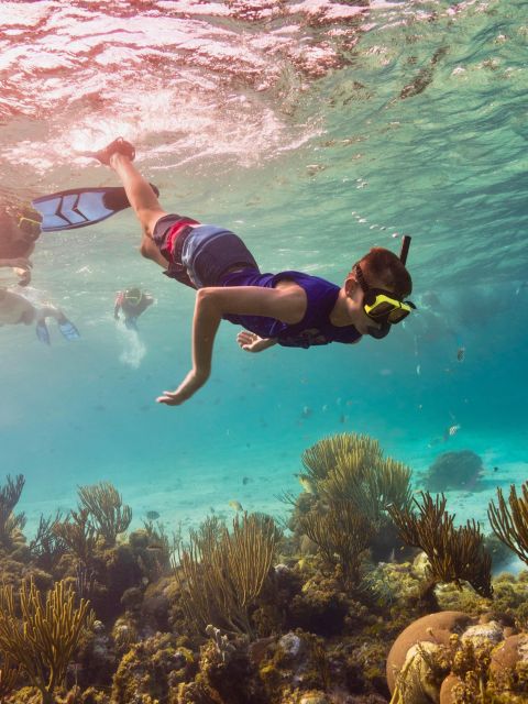 Phi Phi: 4 Islands Sunset & Bioluminescent Plankton Tour - Tour Overview and Pricing
