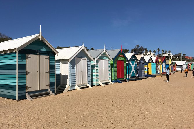 Phillip Island Penguin Parade, Brighton Bathing Boxes and Wildlife Park Tour - Highlights of the Tour