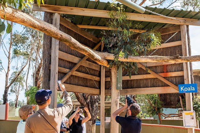 Phillip Island, Penguins, Koalas & Wildlife Tour - From Melbourne - Inclusions and Accessibility