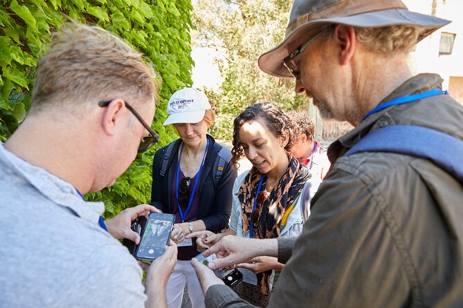 Phone Photography Workshop - Explore Balmain.