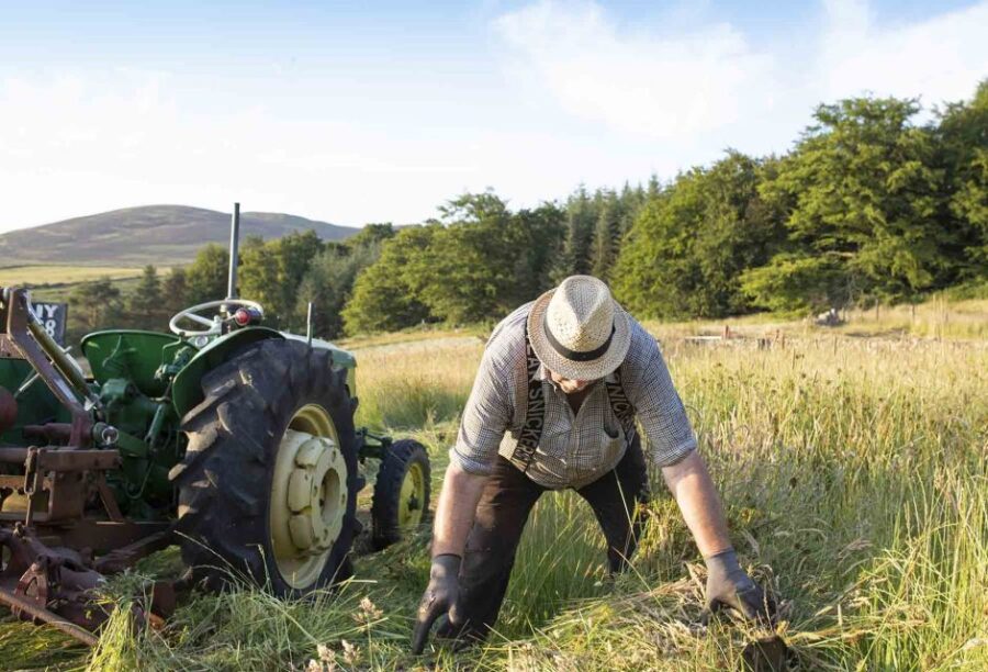 Photography Tour of Carlingford & Surrounding Area