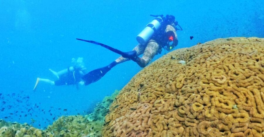 Phu Quoc: Scuba Diving Experience for All Levels - Scuba Diving Overview