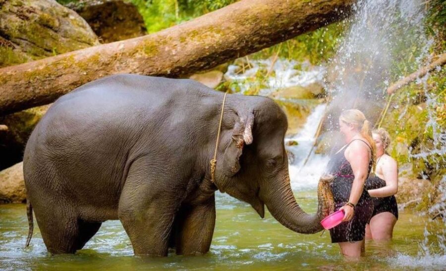 Phuket: Bamboo Rafting, ATV (Optional), Elephant Bathing.