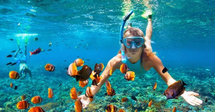 Phuket Coral Island Snorkeling Adventure (Private Speedboat) - Tour Overview and Pricing
