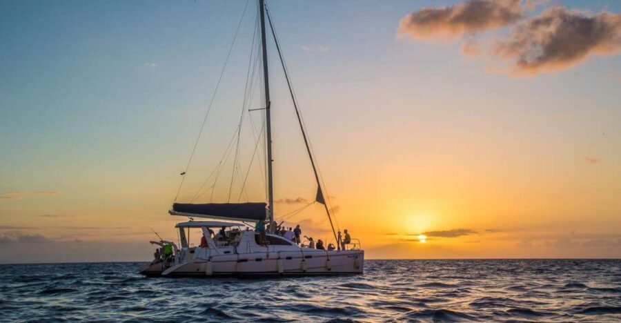 Phuket: Coral Island & Sunset Dinner by Sailing Catamaran