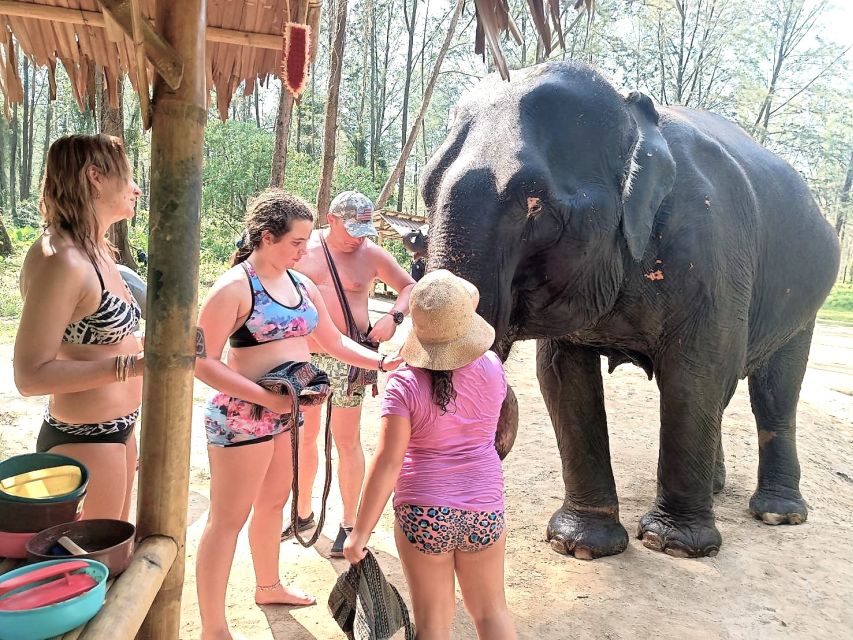 Phuket: Elephant & Sea Turtle Conservation Tour With Rafting - Tour Overview