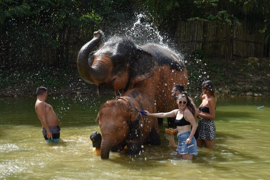 Phuket: Half Day or 2-Hour Ethical Elephant Care Sanctuary