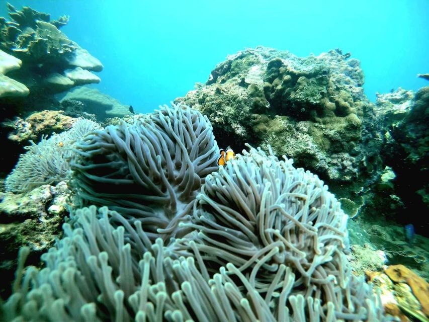 Phuket: James Bond & Phang Nga Island Day Trip - Tour Overview